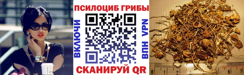что такое наркотик  Старая Русса  Галлюциногенные грибы GOLDEN TEACHER 
